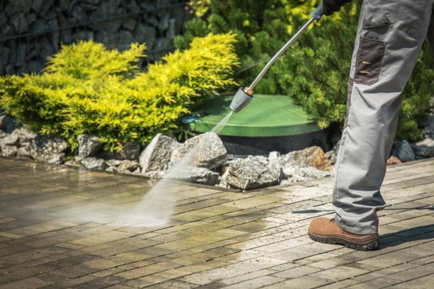 Best Sidewalk and Walkway Cleaning  in Osawatomie, KS